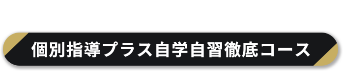 中高一貫の中学生限定 個人指導プラス自学自習徹底コース