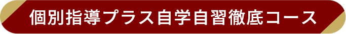 個別指導プラス自学自習徹底コース