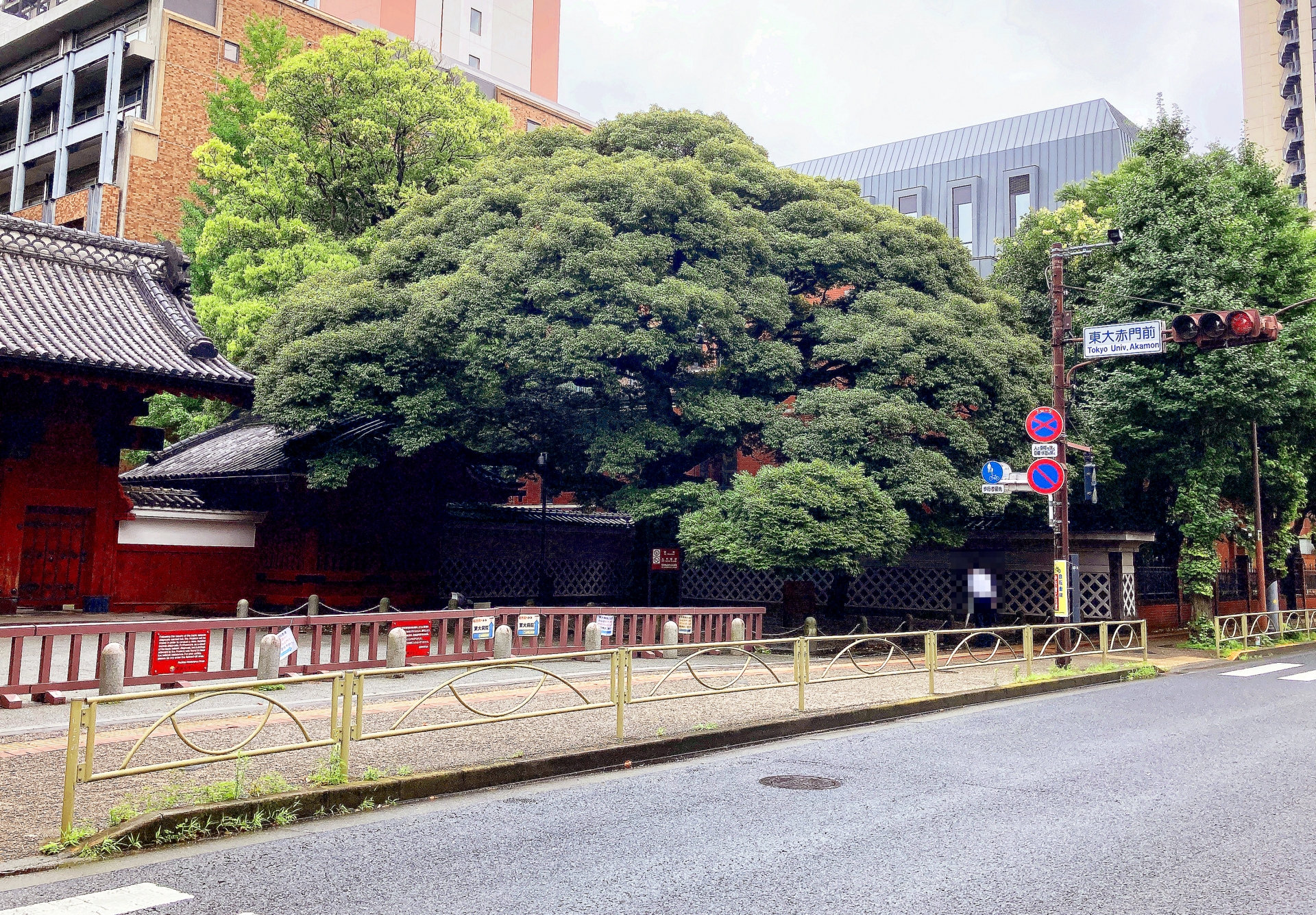 東京風景・文京区本郷