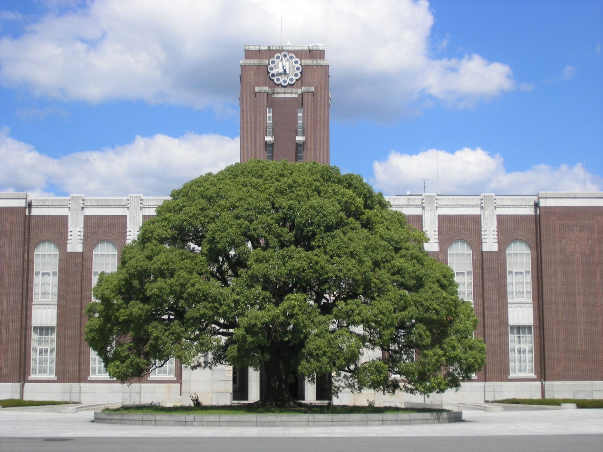 京都大学