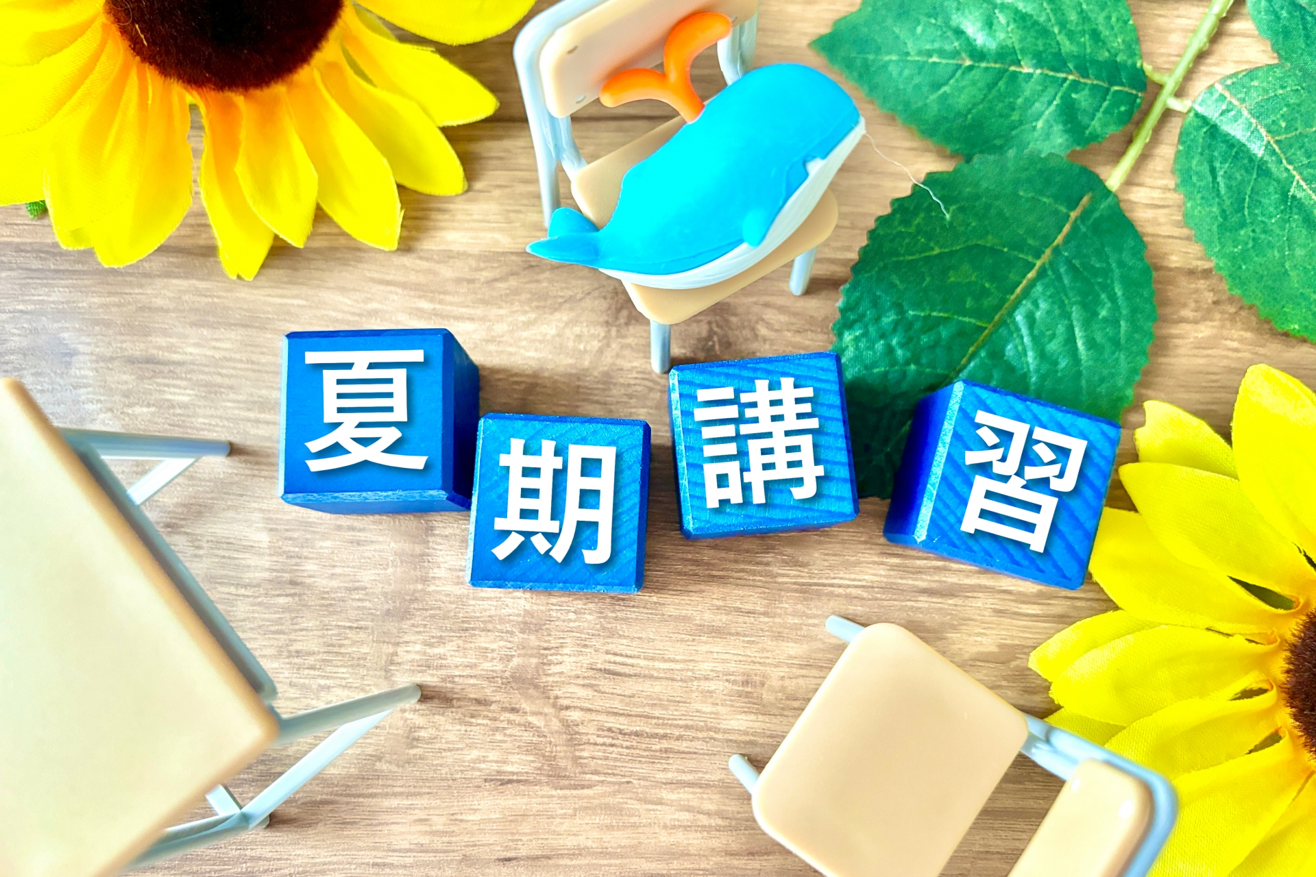 夏期講習、夏休みの講習と向日葵
