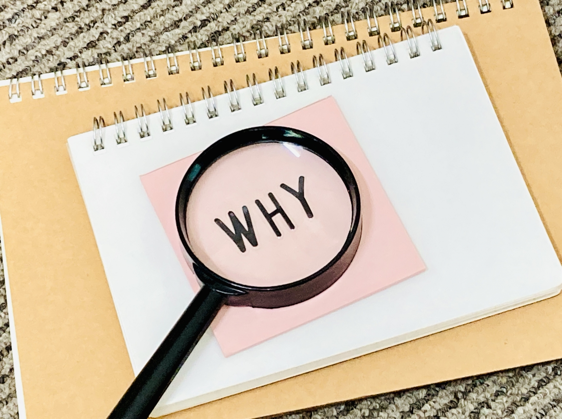 WHY？なぜ？調べてみる