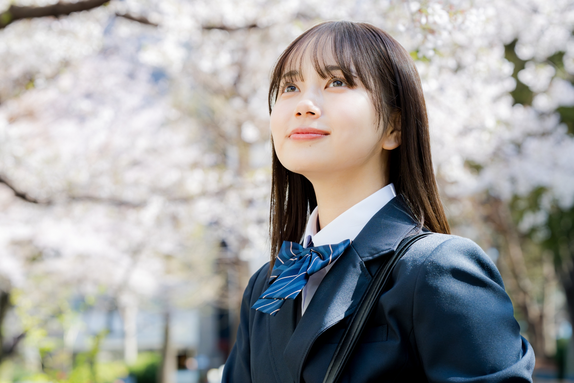 桜の中を歩く女子高生