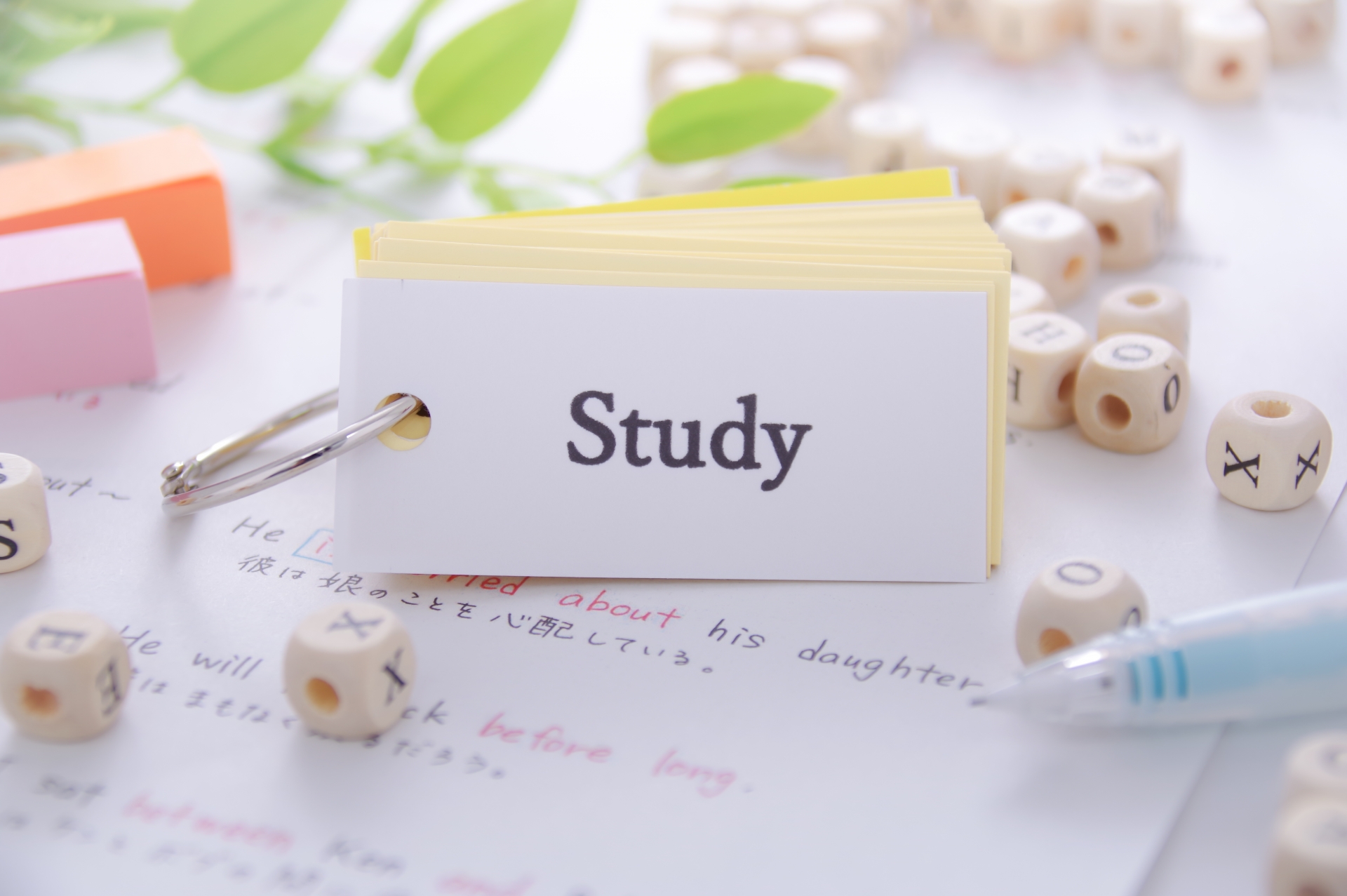 STUDY