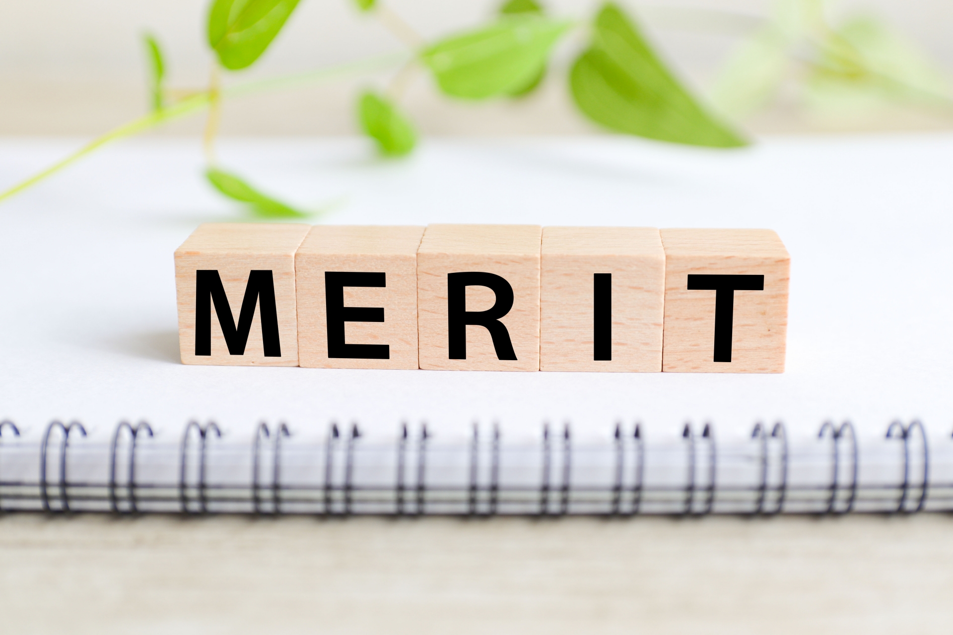 メリット　MERIT　利点