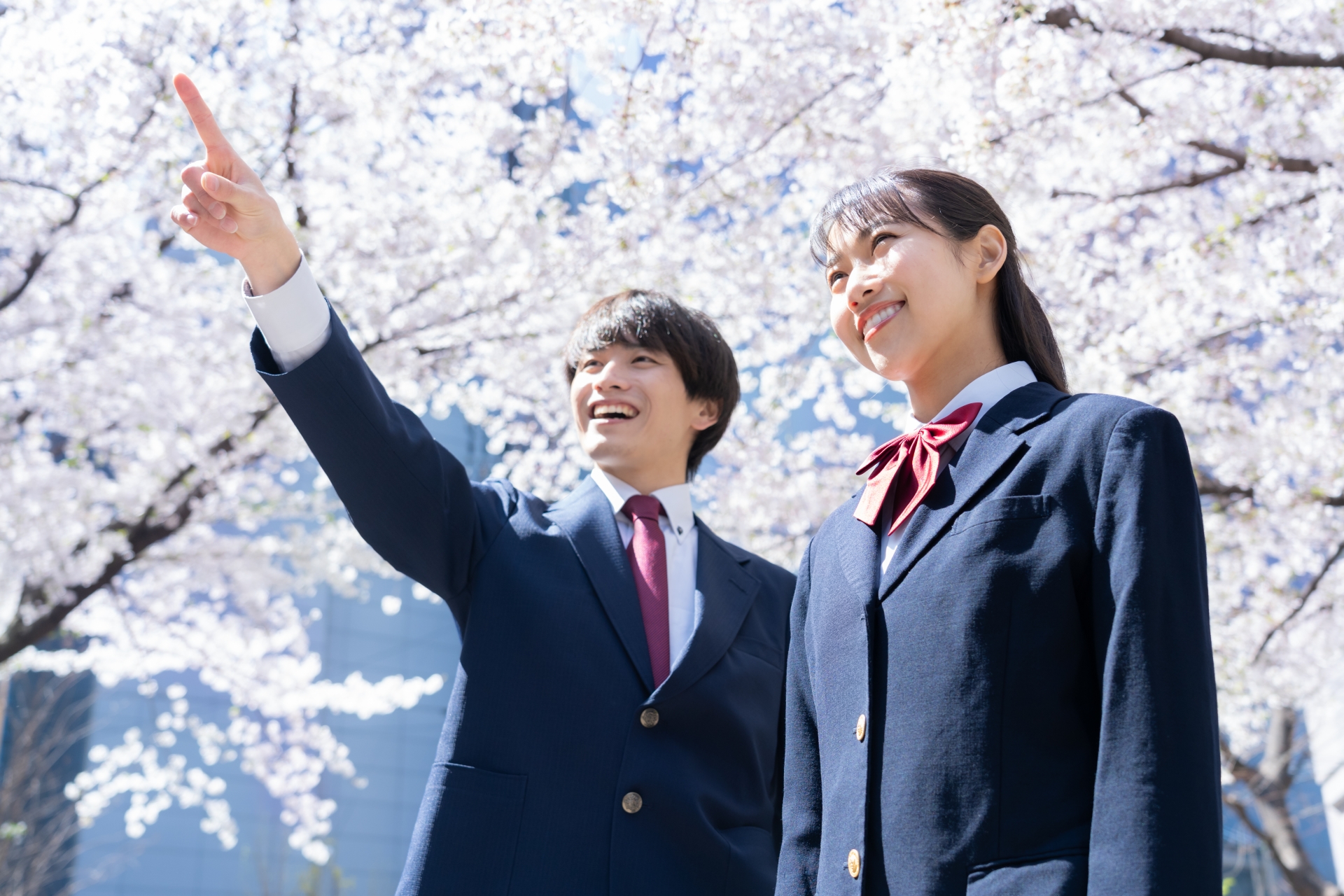 桜と男女の高校生