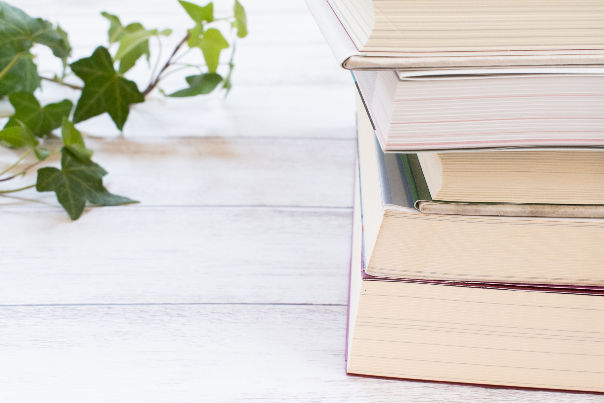 積み重なねられた本と観葉植物