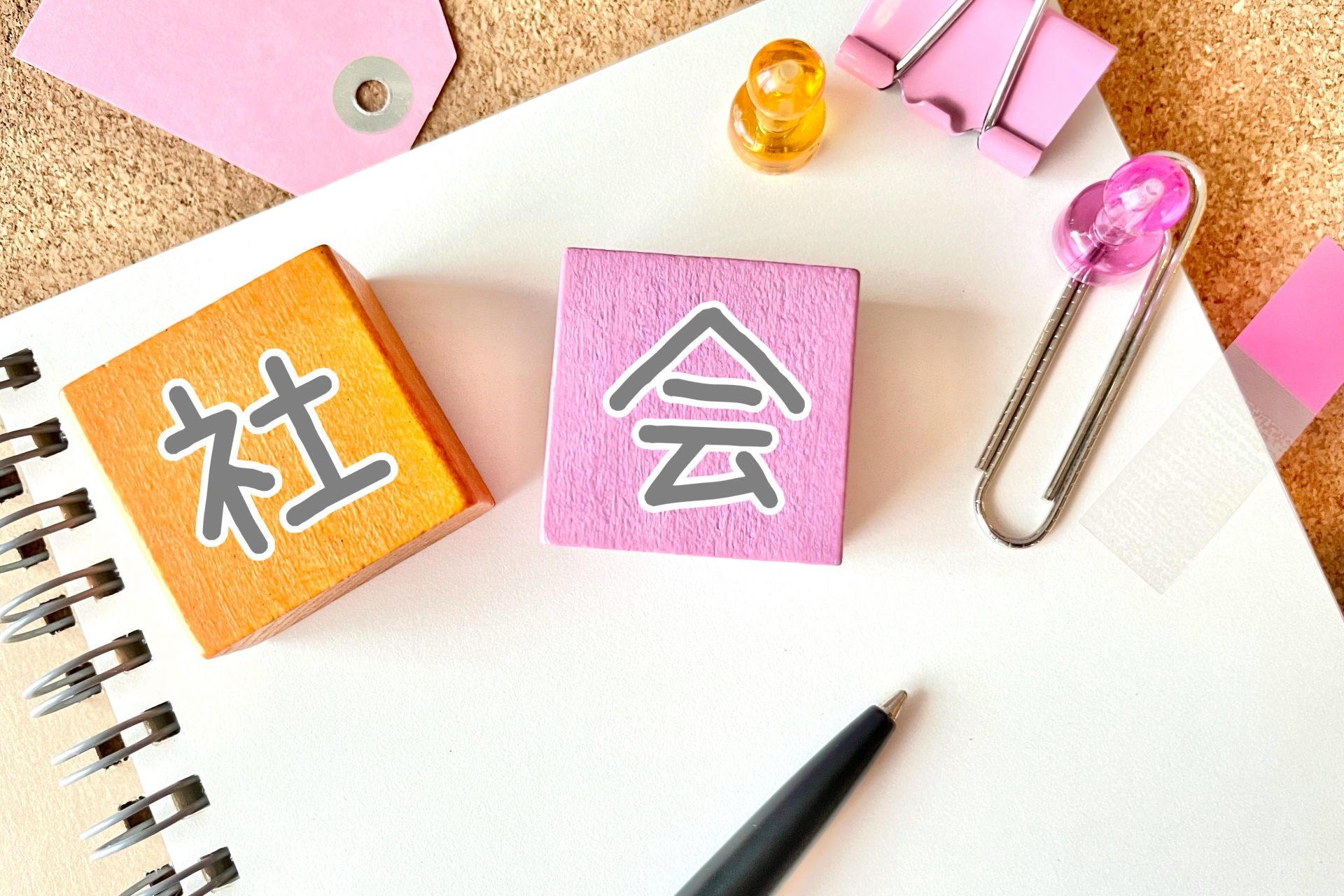 社会の勉強 イメージ